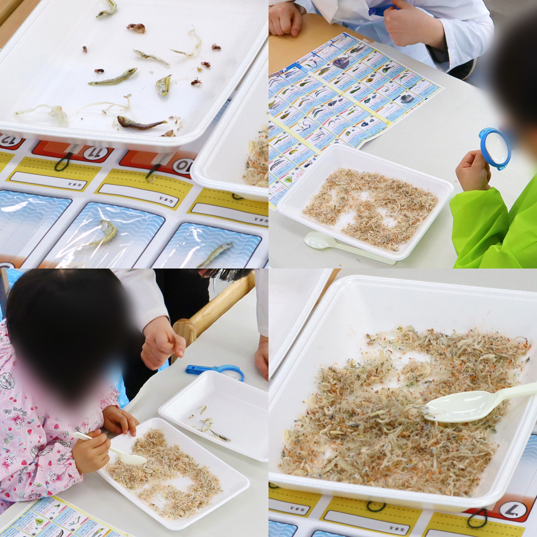 2023 夏のワークショップ ちりめんモンスター